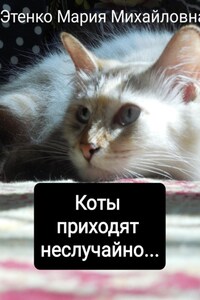 Коты приходят неслучайно…