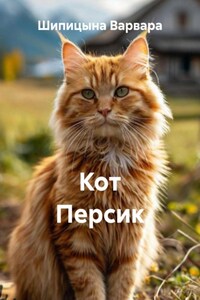 Кот Персик