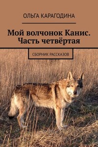 Мой волчонок Канис. Часть четвёртая. Сборник рассказов