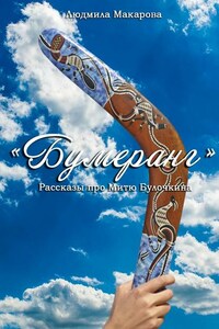 Бумеранг. Рассказы про Митю Булочкина