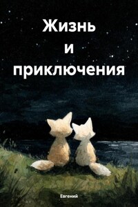 Жизнь и приключения