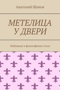 Метелица у двери. Любовная и философская лирика