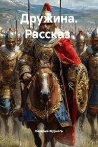 Дружина. Рассказ