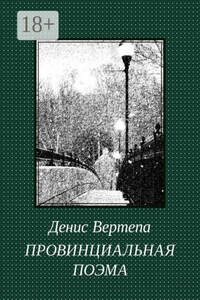 Провинциальная поэма. Роман в стихах