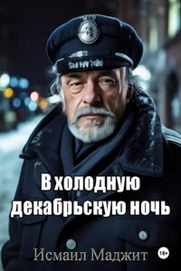 В холодную декабрьскую ночь