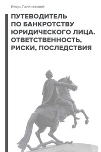 Путеводитель по банкротству юридического лица. Ответственность, риски, последствия