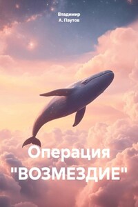 Операция «ВОЗМЕЗДИЕ»