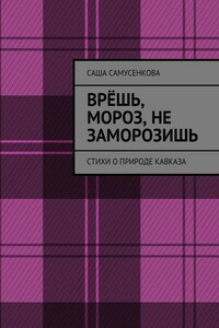 Врёшь, мороз, не заморозишь. Стихи о природе Кавказа