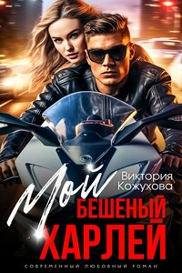 Мой бешеный Харлей