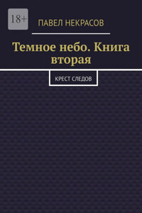 Темное небо. Книга вторая. Крест следов