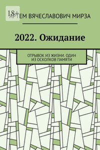 2022. Ожидание. Отрывок из жизни. Один из осколков памяти