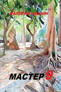Мастер 9