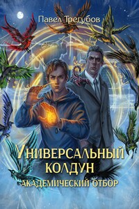Универсальный колдун. Книга 2. Академический отбор