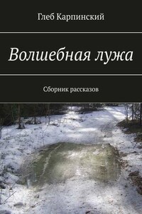 Волшебная лужа. Сборник рассказов