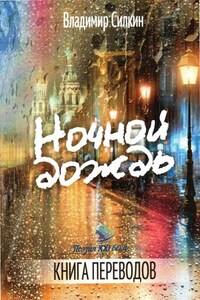 Ночной дождь