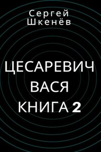 Цесаревич Вася Книга 2