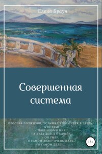 Совершенная система