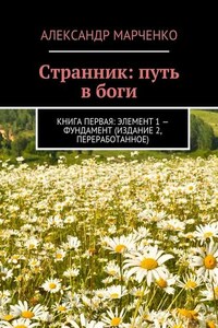 Странник: путь в боги. Книга первая: элемент 1 – фундамент (издание 2, переработанное)