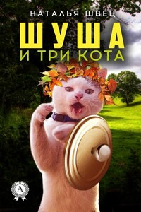 Шуша и три кота