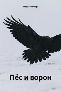 Пёс и ворон