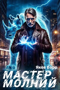 Мастер молний. Книга I