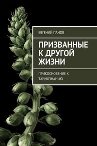 Призванные к другой жизни. Прикосновение к тайнознанию