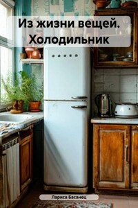 Из жизни вещей. Холодильник