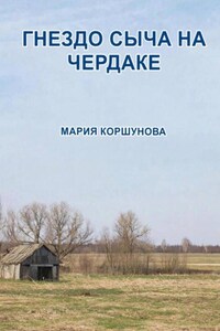 Гнездо сыча на чердаке