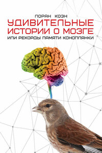 Удивительные истории о мозге, или Рекорды памяти коноплянки