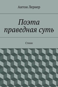 Поэта праведная суть. Стихи