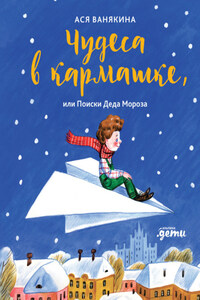 Чудеса в кармашке, или Поиски Деда Мороза