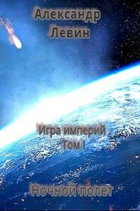 Ночной полет