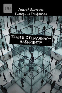 Тени в стеклянном лабиринте