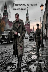 Разведчик, который слишком много знал