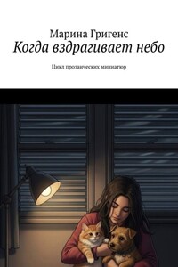 Когда вздрагивает небо. Цикл прозаических миниатюр