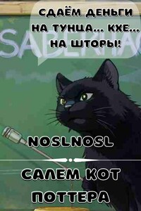 Салем кот Поттера