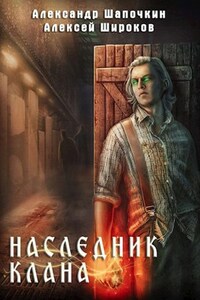 Наследник клана (Взрыв это случайность)