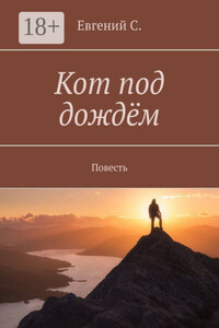 Кот под дождём. Повесть