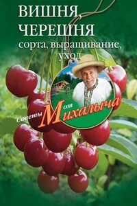 Вишня, черешня. Сорта, выращивание, уход, заготовки