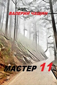 Мастер 11
