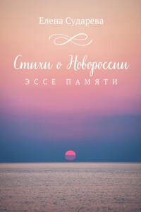 Стихи о Новороссии. Эссе памяти