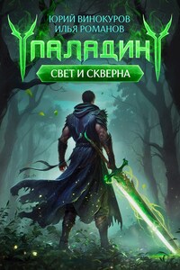 Паладин. Свет и Скверна IV