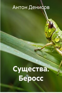 Существа. Беросс