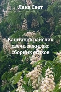 Каштанов райских свечи зажигаю: сборник стихов