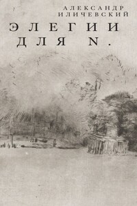 Элегии для N.