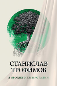 Я бродил меж проталин