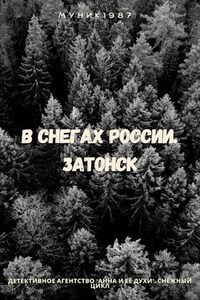 Детективное агентство "Анна и её духи". В снегах России. Затонск