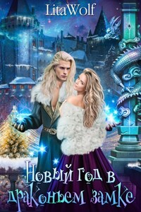 Новый год в драконьем замке