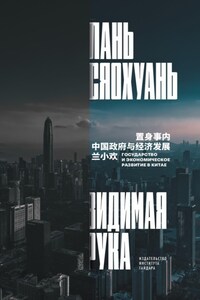 Видимая рука