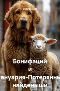 Бонифаций и Жануария-Потерянные найденыши